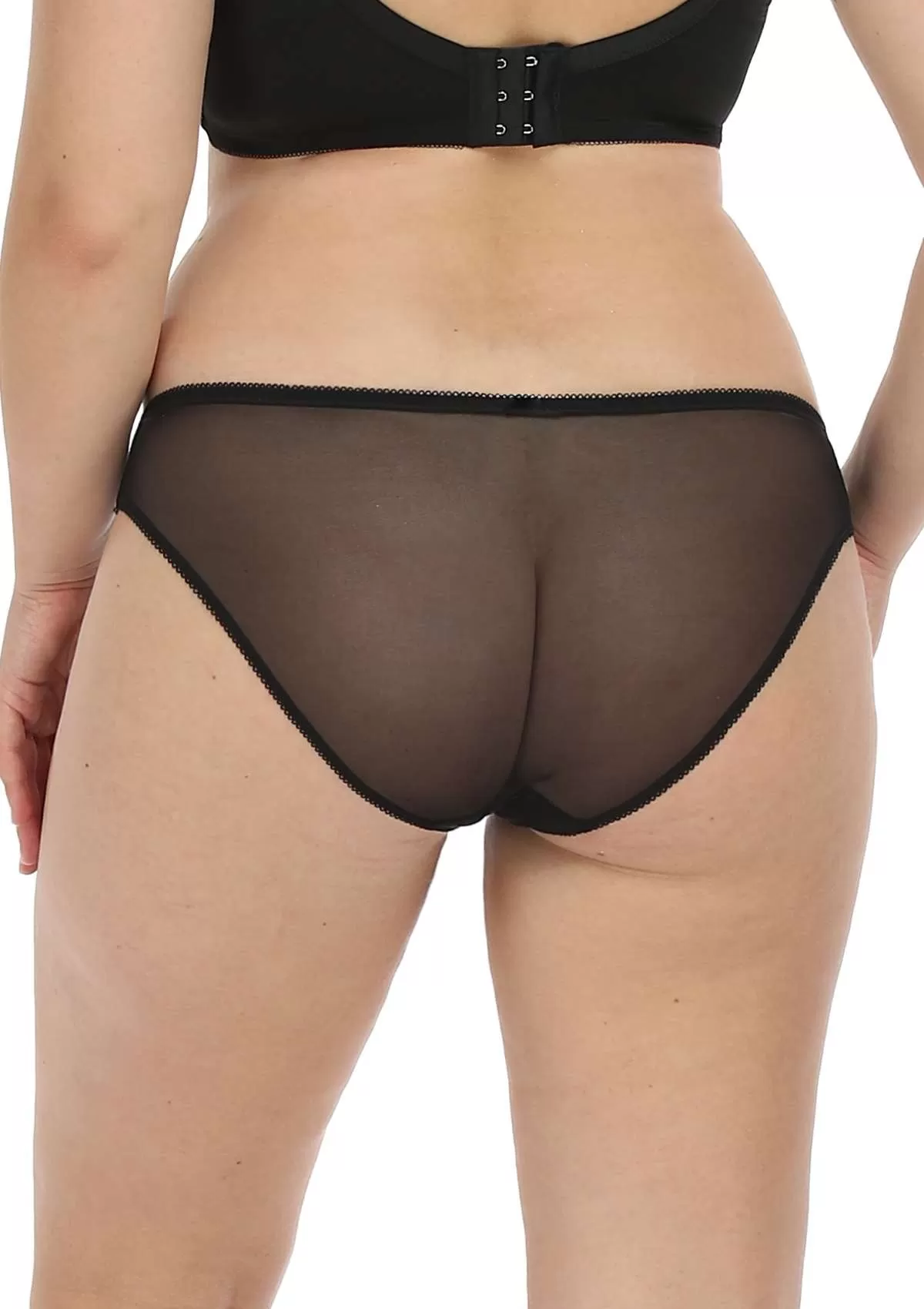 Anemone Lace Dolphin Mid-low Rise Black Bikini Underwear