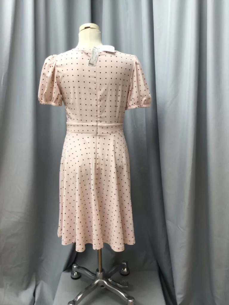 ANN TAYLOR SIZE 6 Ladies DRESS