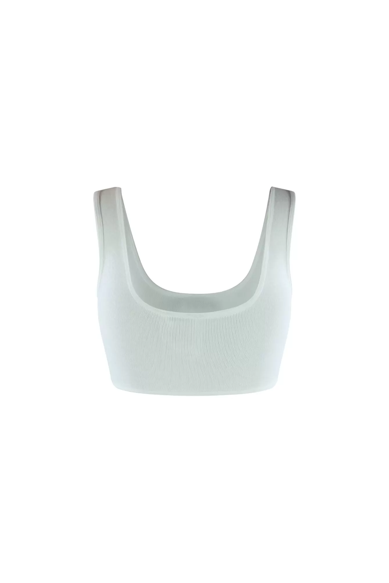 Daisy Basic Rounded Bust Crop Top