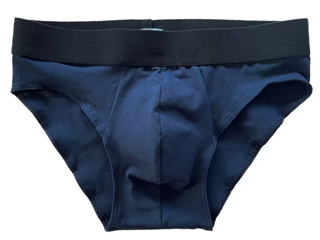 Organic Cotton Jersey Brief in Navy